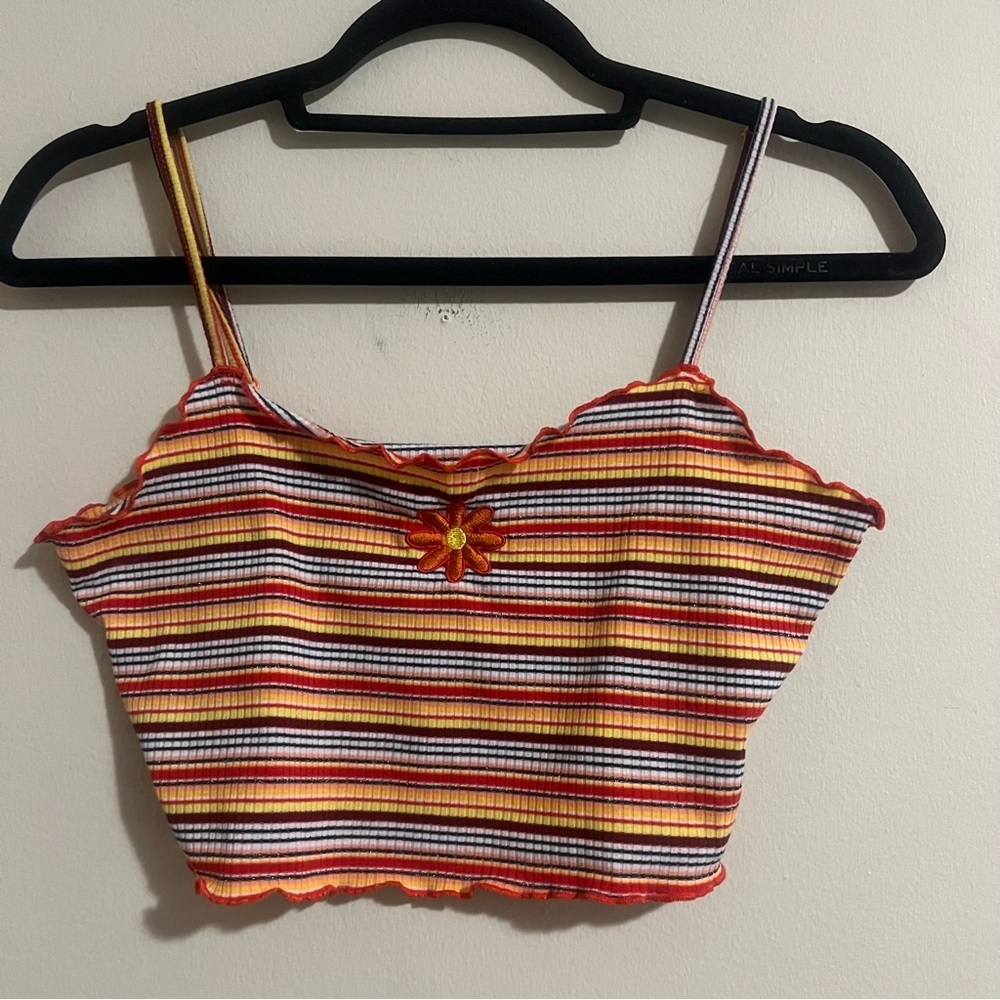 Striped Multicolor Crop Top